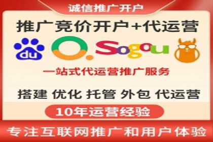 SEM代运营经典案例解析与启示